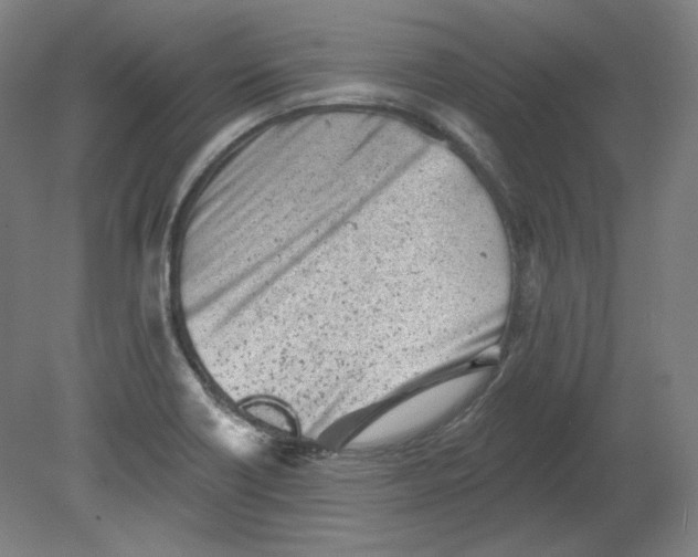 X0000080741418200701051133