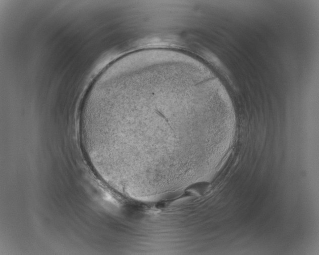 X0000080741419200701051133