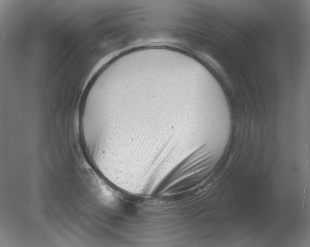 X0000080741420200701051133