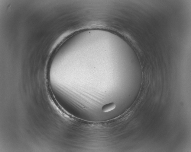 X0000080741422200701051133