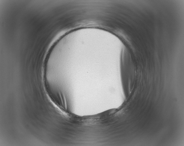 X0000080741424200701051133