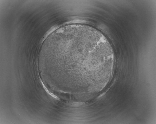 X0000080741425200701051133