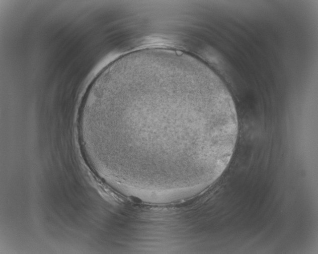 X0000080741427200701051133