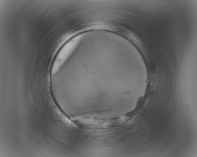 X0000080741428200701051133