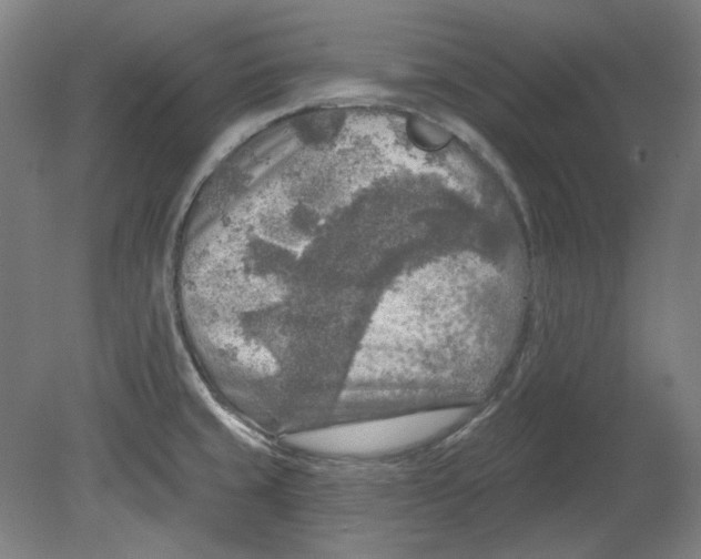 X0000080741429200701051133