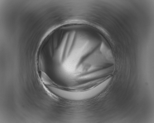 X0000080741430200701051133