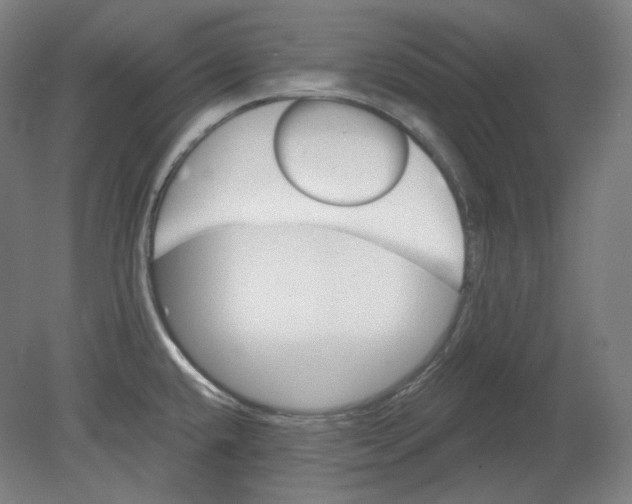 X0000080741432200701051133