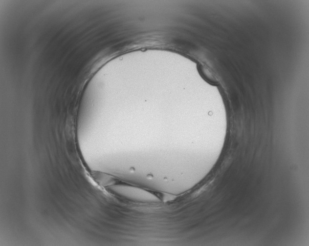 X0000080741433200701051133