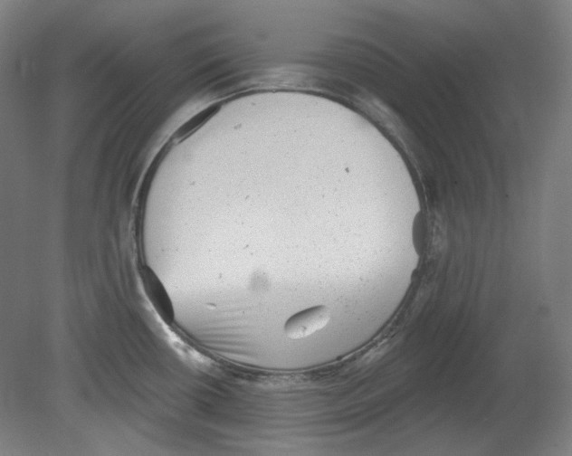 X0000080741434200701051133