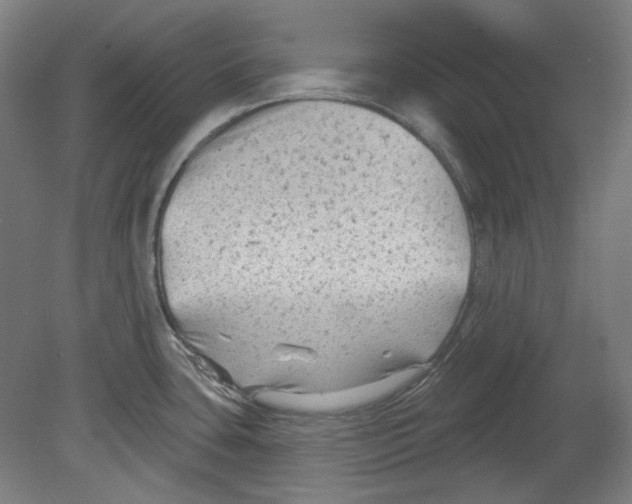 X0000080741435200701051133