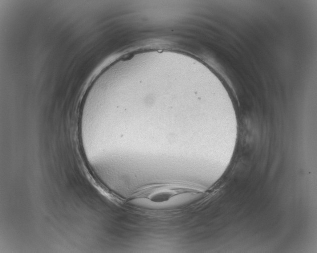 X0000080741437200701051133