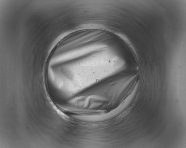 X0000080741438200701051133