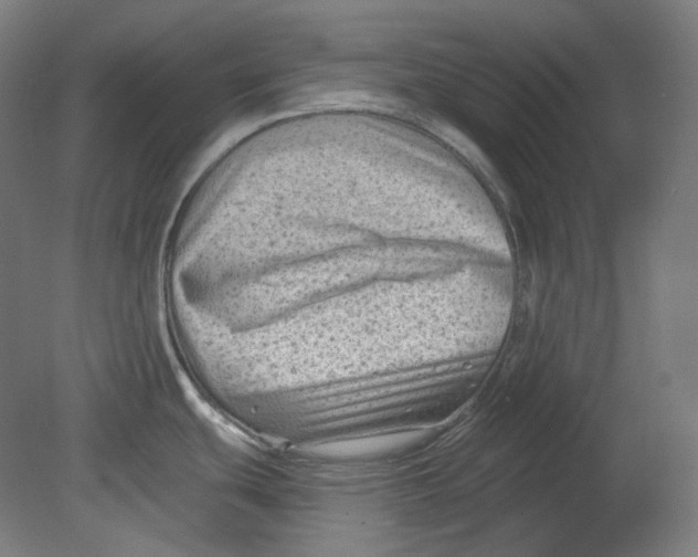 X0000080741439200701051133