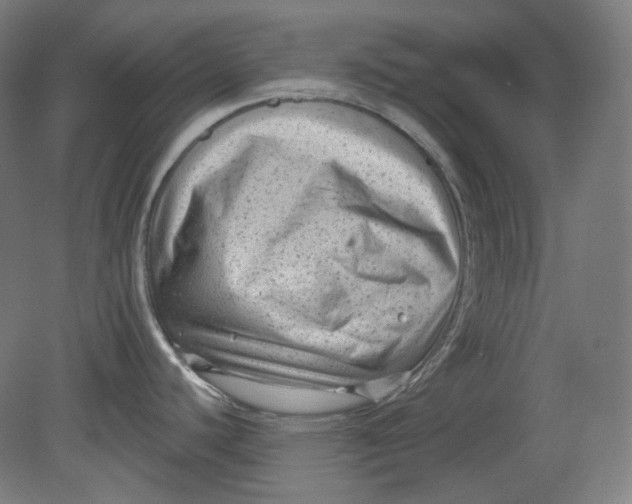 X0000080741440200701051133