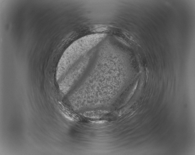 X0000080741441200701051132