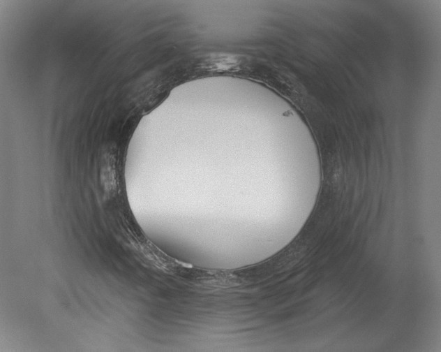 X0000080741442200701051132