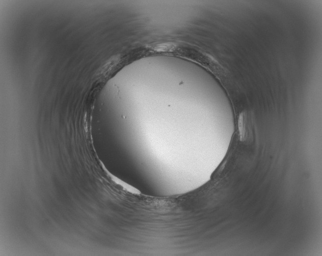 X0000080741443200701051132