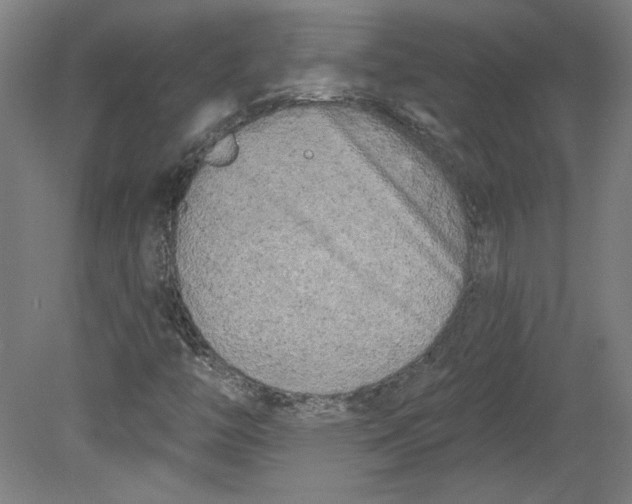 X0000080741446200701051132