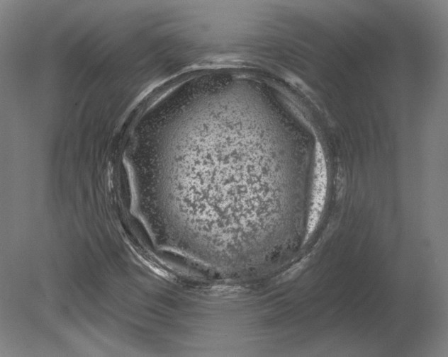 X0000080741449200701051132