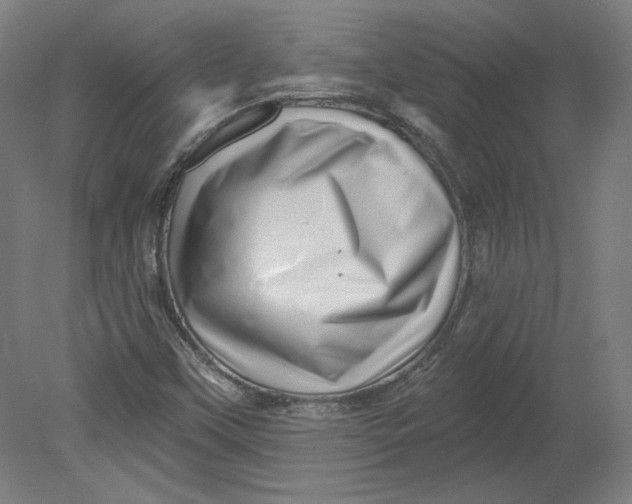 X0000080741451200701051132