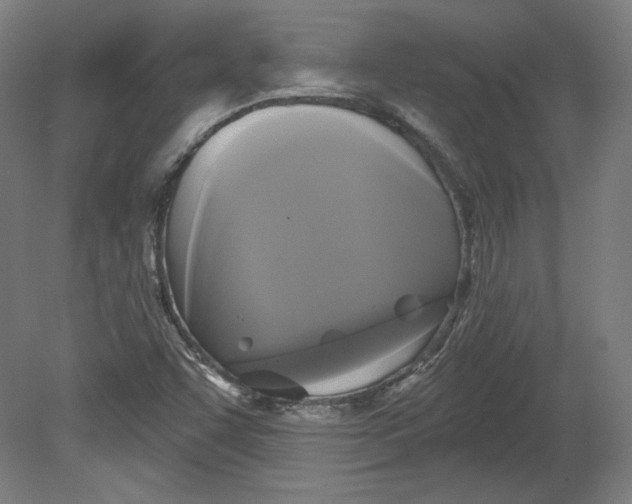 X0000080741455200701051132