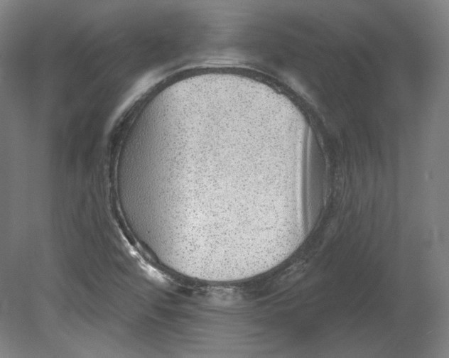 X0000080741456200701051132