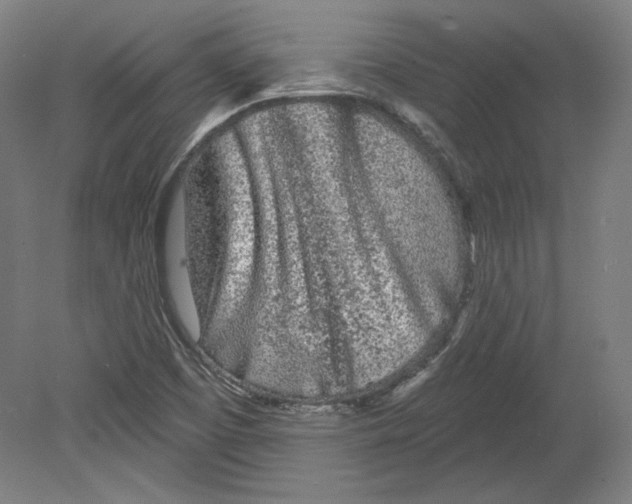 X0000080741457200701051132