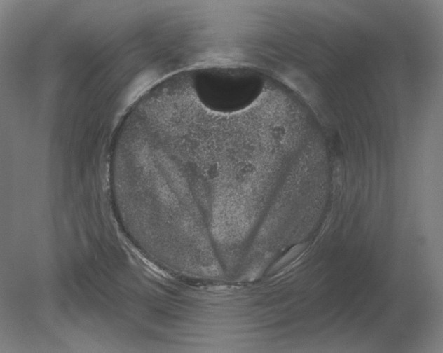 X0000080741459200701051132