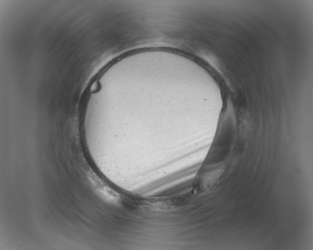 X0000080741460200701051132