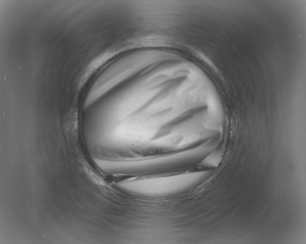 X0000080741461200701051132