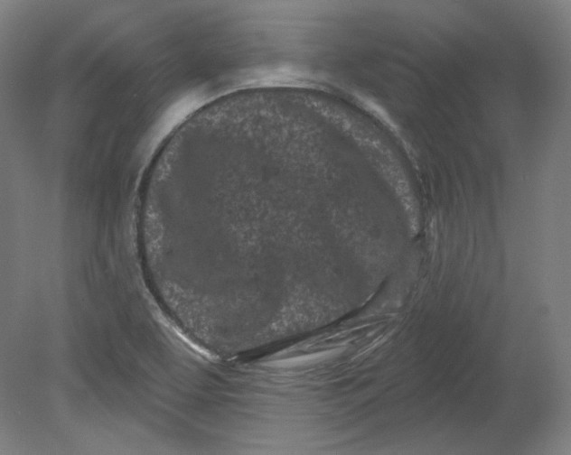 X0000080741463200701051132