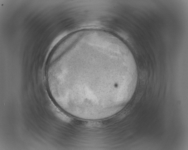 X0000080741466200701051132