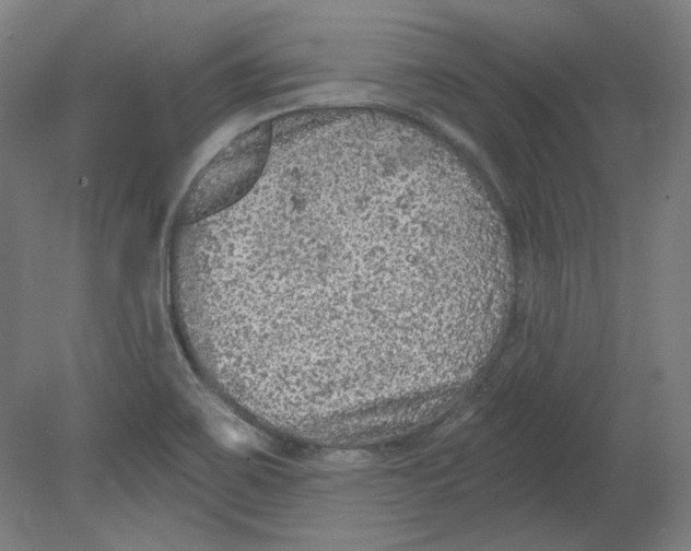 X0000080741467200701051132