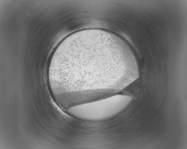 X0000080741468200701051132