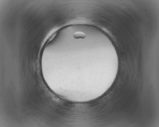 X0000080741469200701051132