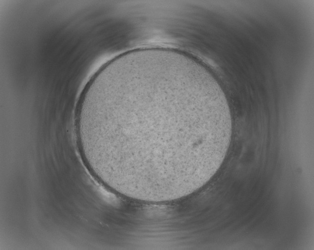 X0000080741470200701051132