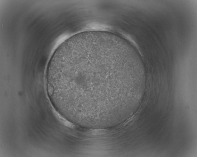 X0000080741471200701051132