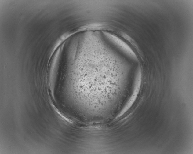 X0000080741473200701051132