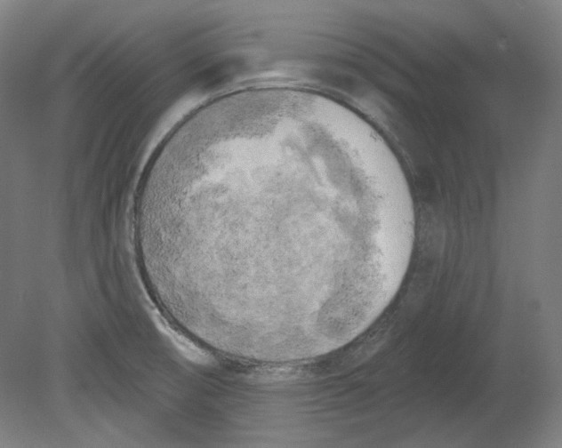 X0000080741474200701051132