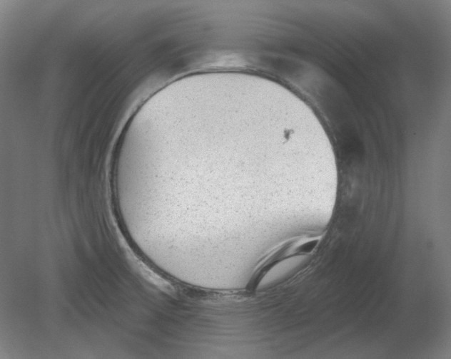 X0000080741475200701051132