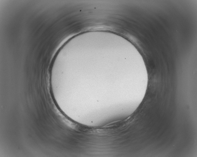 X0000080741476200701051132