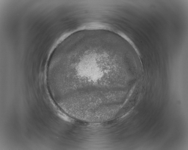 X0000080741477200701051131