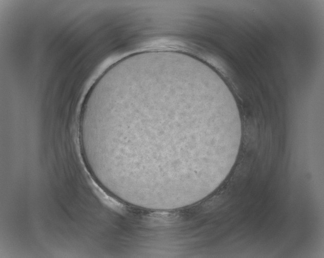 X0000080741478200701051131