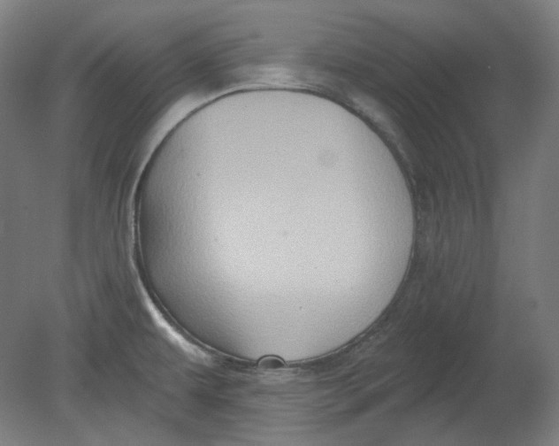 X0000080741479200701051131