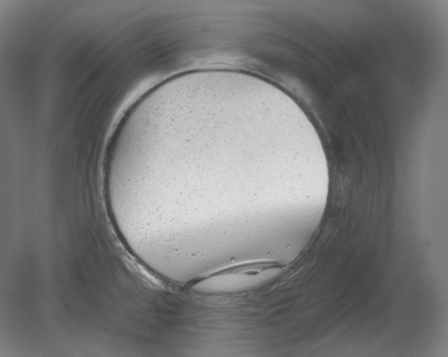 X0000080741480200701051131