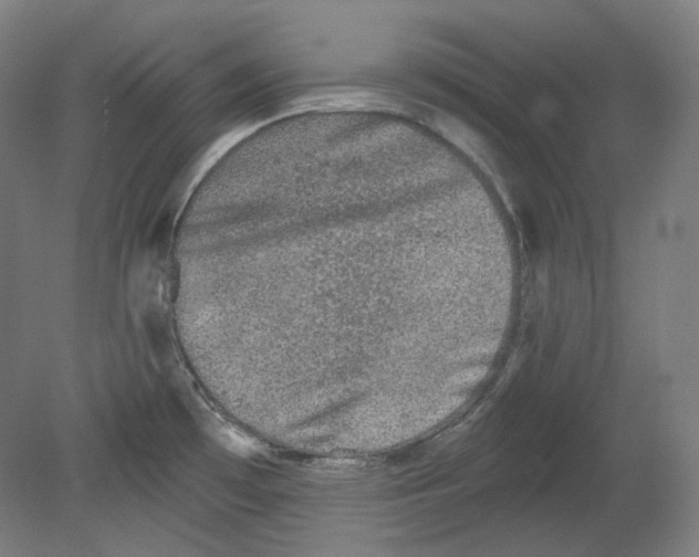 X0000080741481200701051131