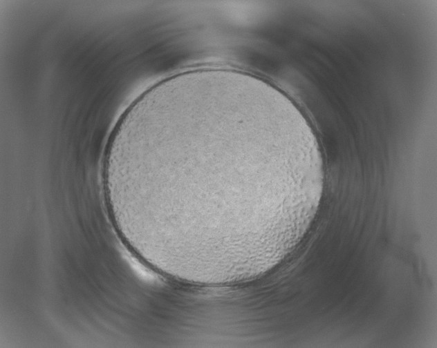 X0000080741482200701051131