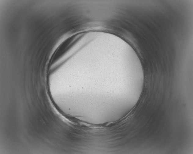 X0000080741483200701051131