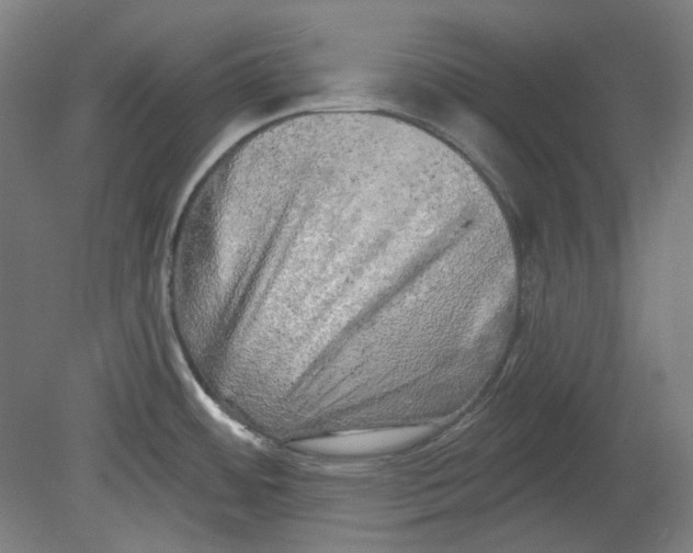 X0000080741484200701051131