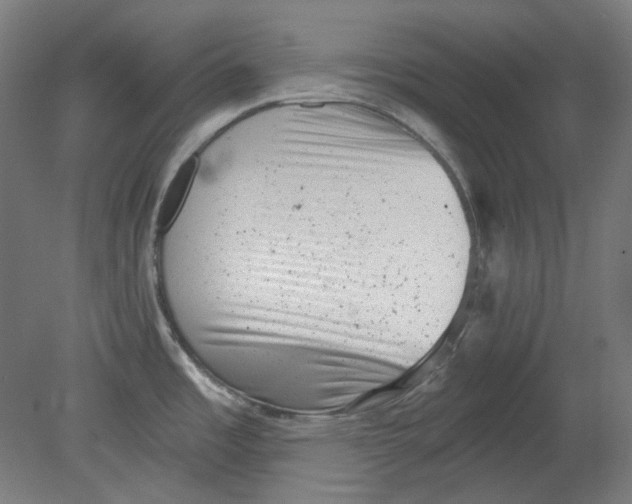 X0000080741485200701051131